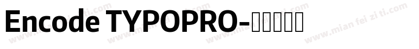Encode TYPOPRO字体转换